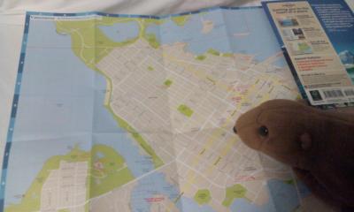 Kasimir mit Downtown Map von Vancouver Kasimir mit Downtown Map von Vancouver